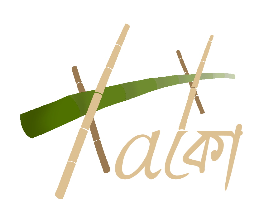 Xako Site Logo